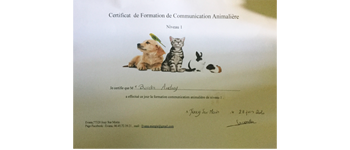 Diplome Communication Animaliere Dogsrzen 45