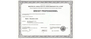 Diplome Educateur Canin Dogsrzen 45